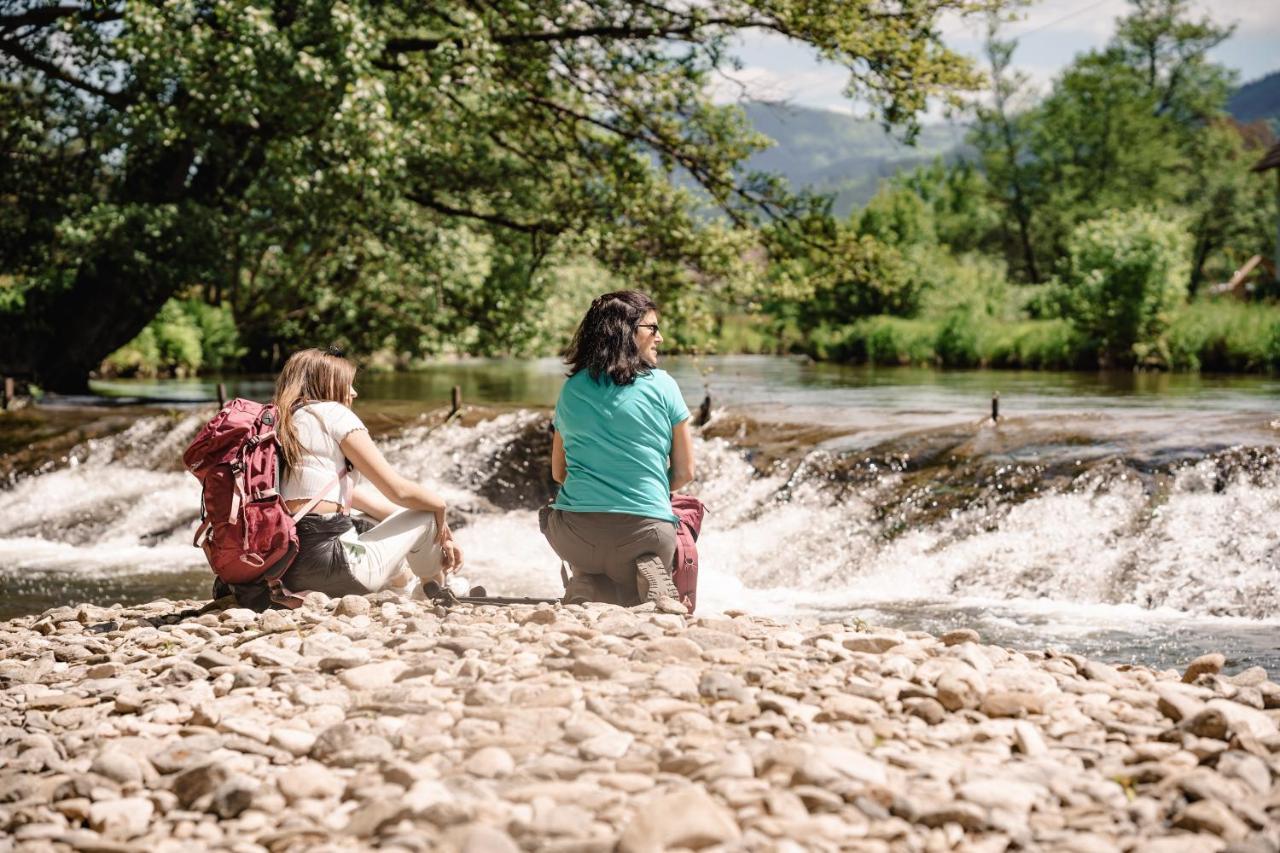 Wellness Pension Am Rain Winden im Elztal Extérieur photo